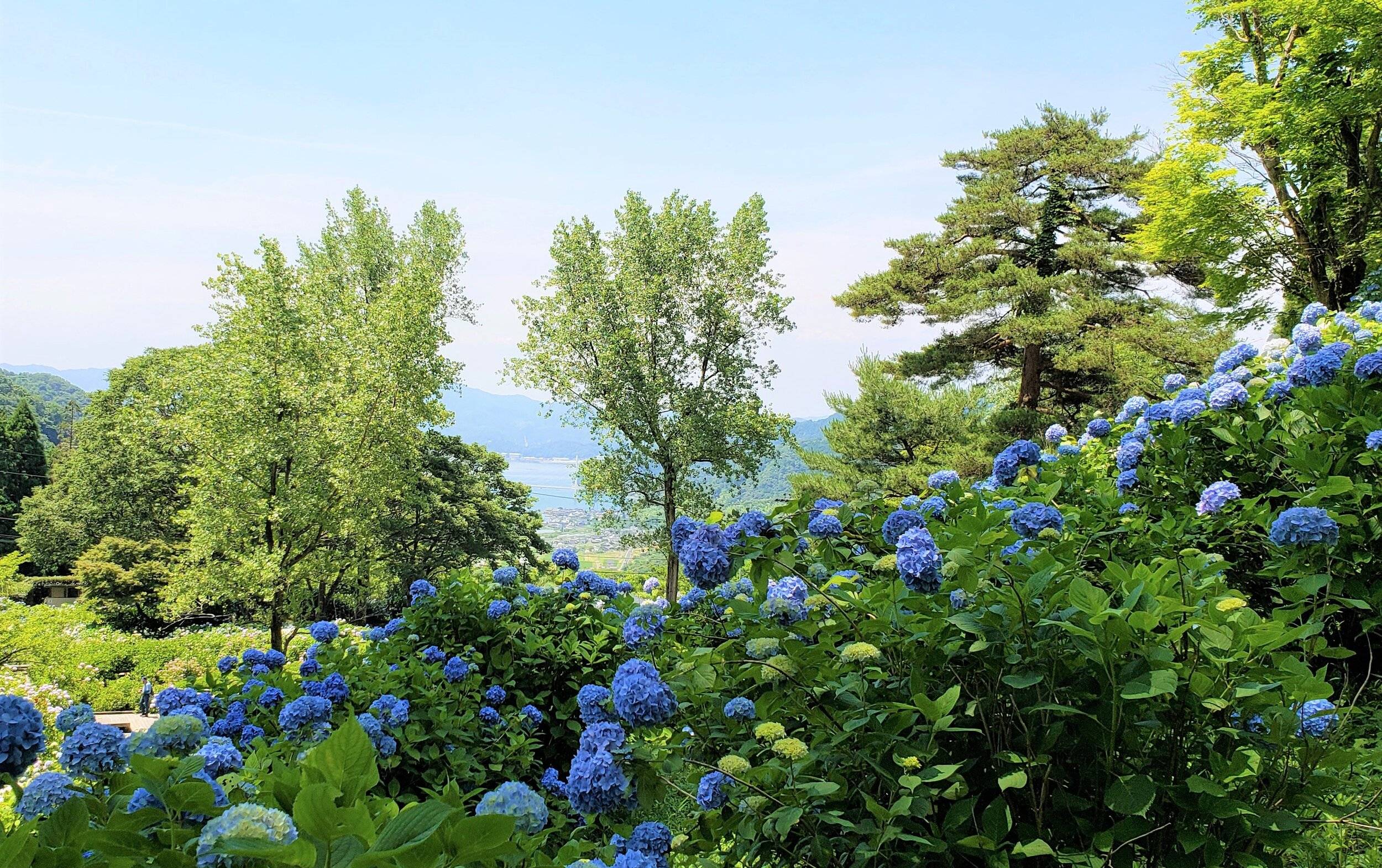 🏞️ 마이즈루 자연 문화원(마이즈루시젠분카엔) 이미지 9